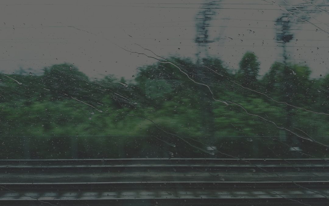 Portfolio-8